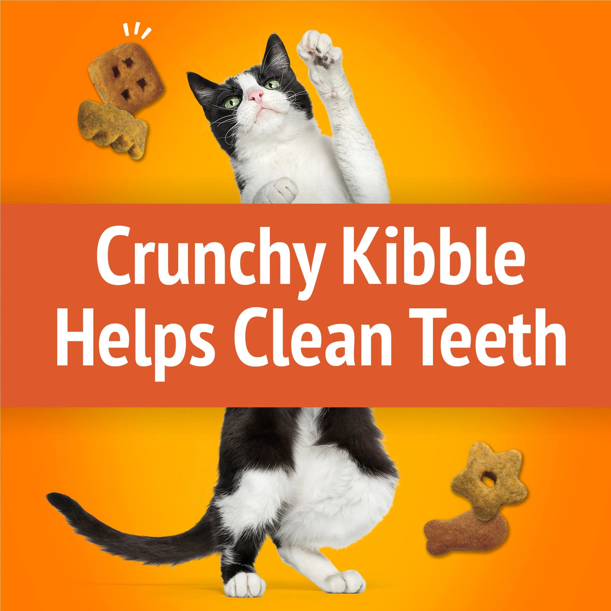 (2 Pack) Purina  Party Mix Cat Treats, Original Crunch Snacks, 30 Oz. Canister