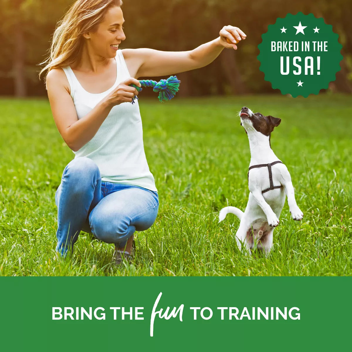 Buddy Biscuits Training Bites Chicken Dry Dog Treats - 10Oz