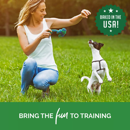 Buddy Biscuits Training Bites Chicken Dry Dog Treats - 10Oz