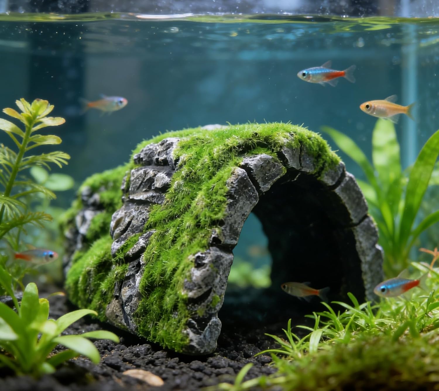 Aquarium Decorations Fish Hideout House Betta Cave with Green Lifelike Moss (Betta Rock Cave)
