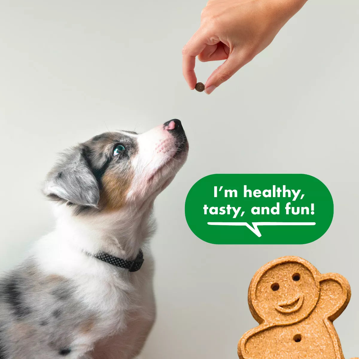 Buddy Biscuits Training Bites Chicken Dry Dog Treats - 10Oz