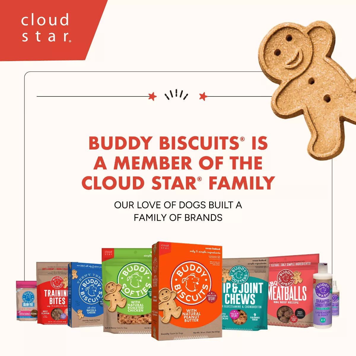 Buddy Biscuits Training Bites Chicken Dry Dog Treats - 10Oz
