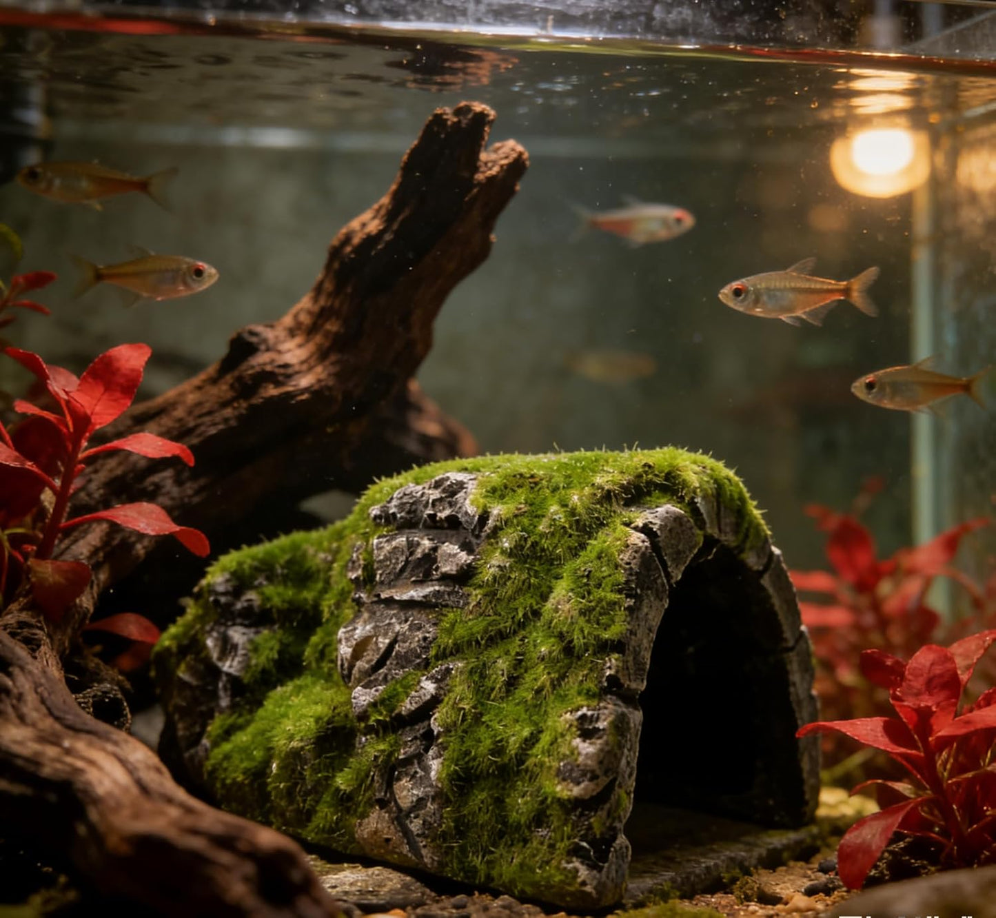 Aquarium Decorations Fish Hideout House Betta Cave with Green Lifelike Moss (Betta Rock Cave)