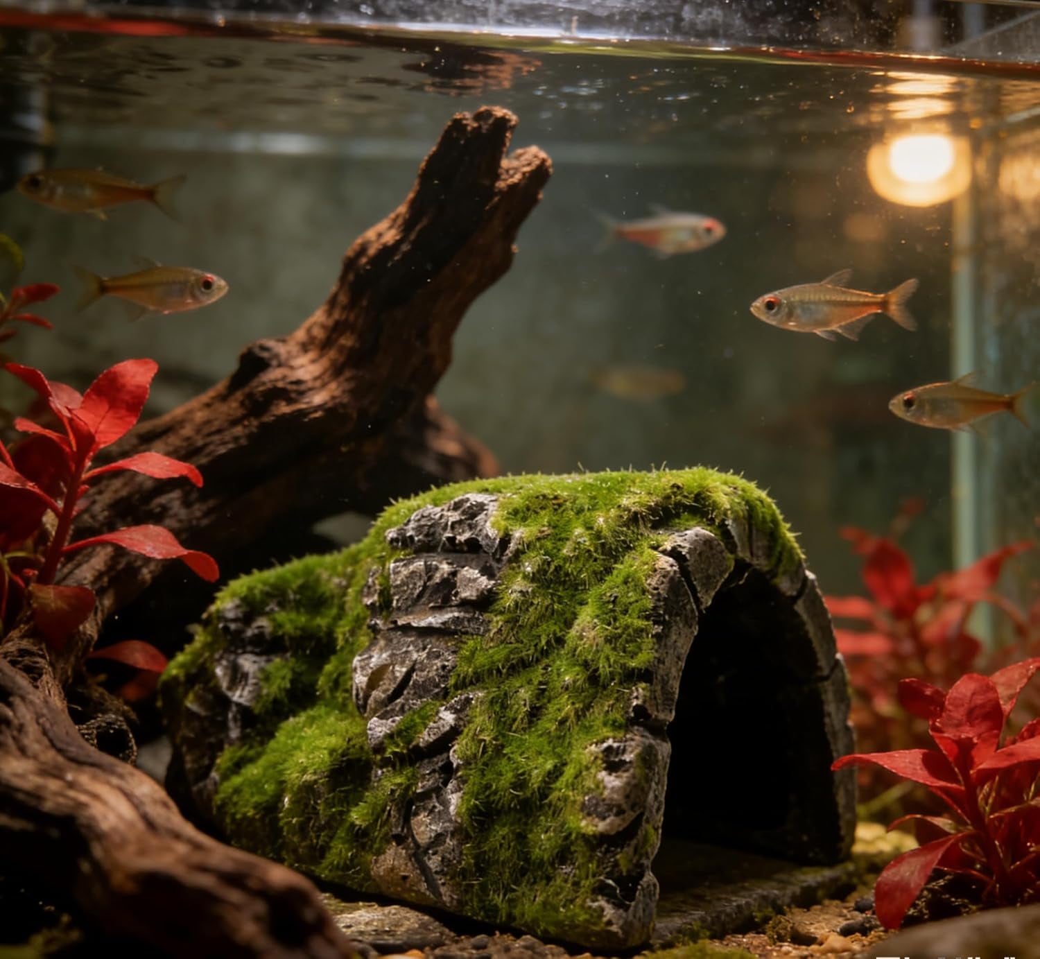 Aquarium Decorations Fish Hideout House Betta Cave with Green Lifelike Moss (Betta Rock Cave)